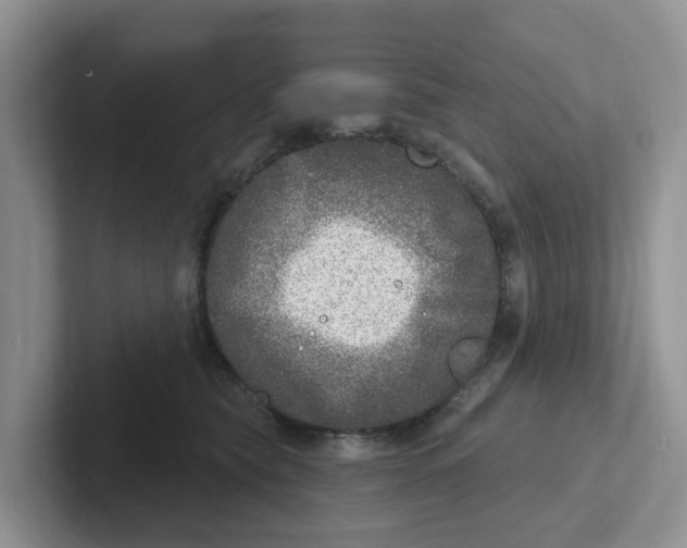 X0000101700565200807311434