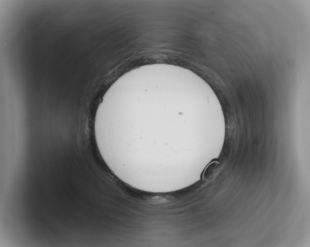 X0000101700566200807311434