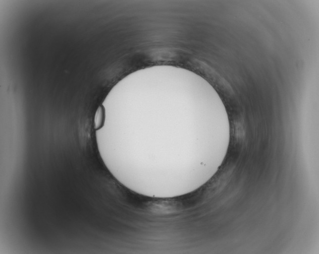 X0000101700567200807311434
