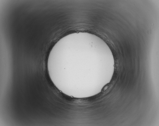 X0000101700568200807311434
