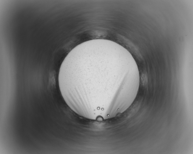 X0000101700570200807311434