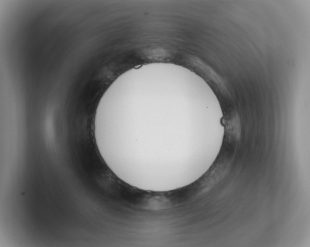 X0000101700572200807311434