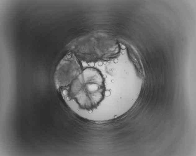 X0000101700573200807311434