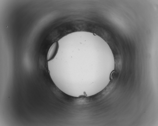 X0000101700574200807311434