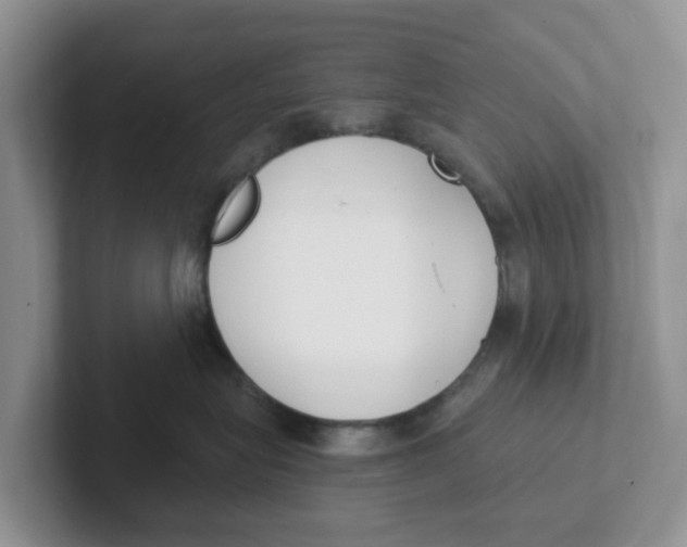 X0000101700575200807311434