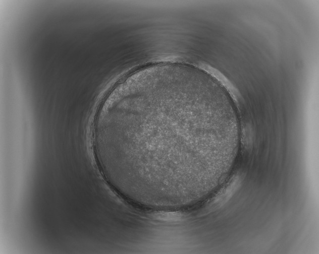 X0000101700577200807311434