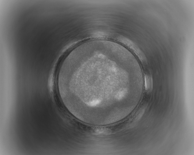 X0000101700579200807311433