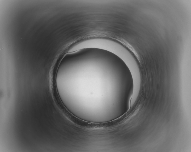 X0000101700581200807311433