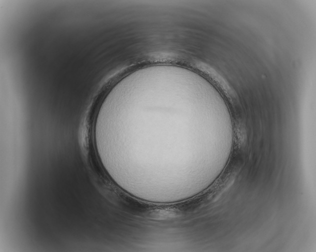 X0000101700583200807311433