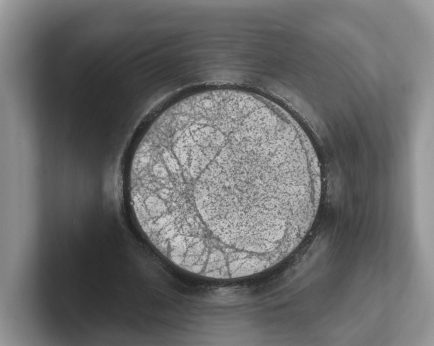 X0000101700584200807311433
