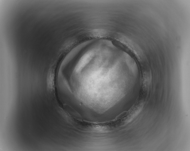 X0000101700585200807311433