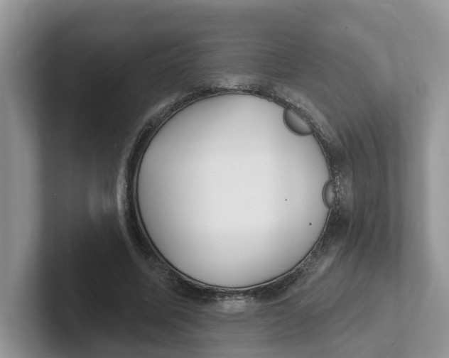 X0000101700587200807311433