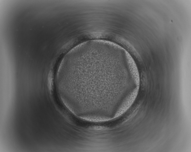 X0000101700590200807311433