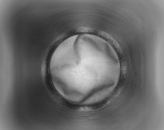 X0000101700591200807311433
