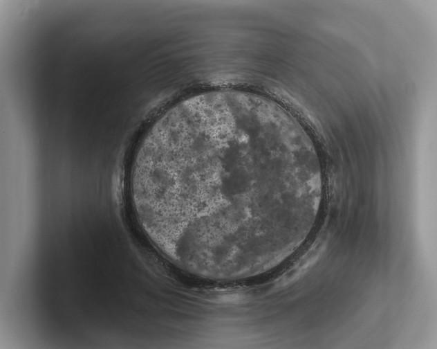 X0000101700592200807311433