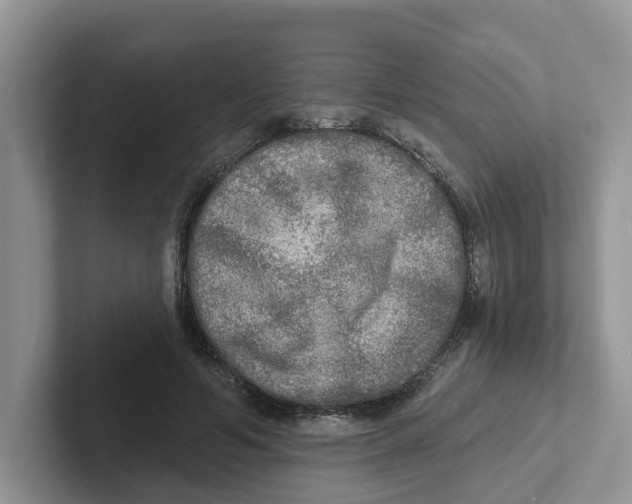 X0000101700594200807311433