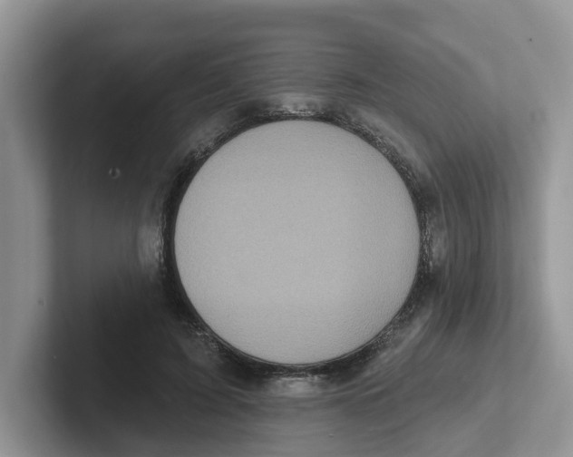 X0000101700595200807311433