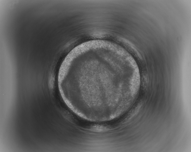 X0000101700596200807311433