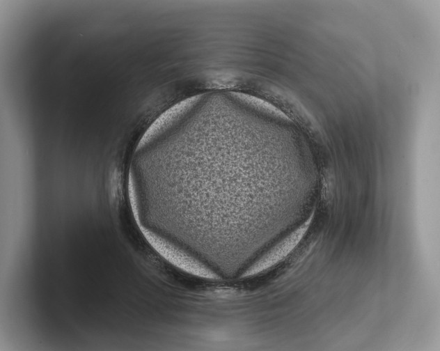 X0000101700598200807311433