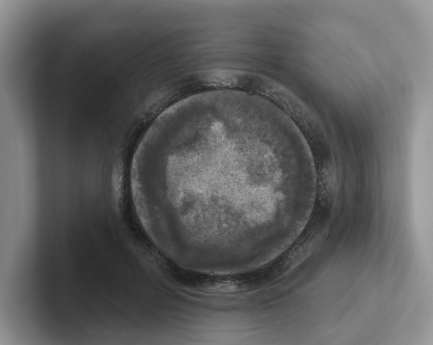 X0000101700600200807311433