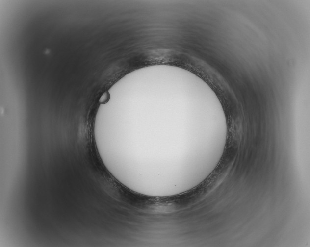 X0000101700601200807311433