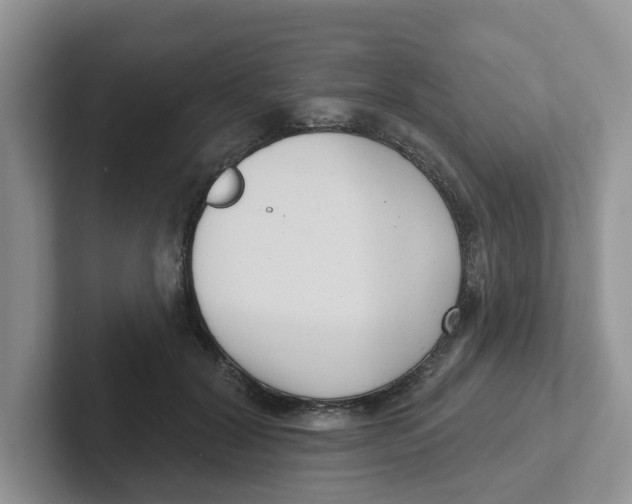 X0000101700604200807311433