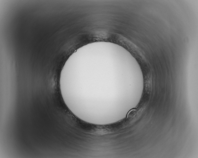 X0000101700608200807311433