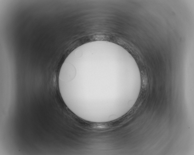 X0000101700610200807311433