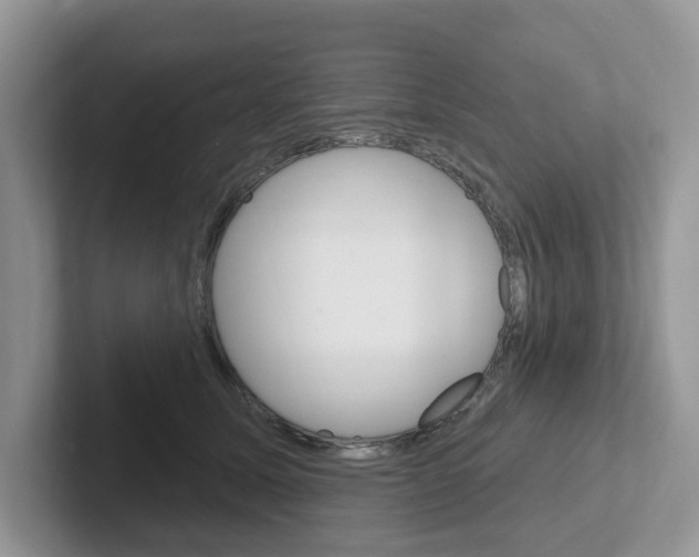 X0000101700611200807311433