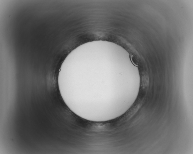 X0000101700613200807311433