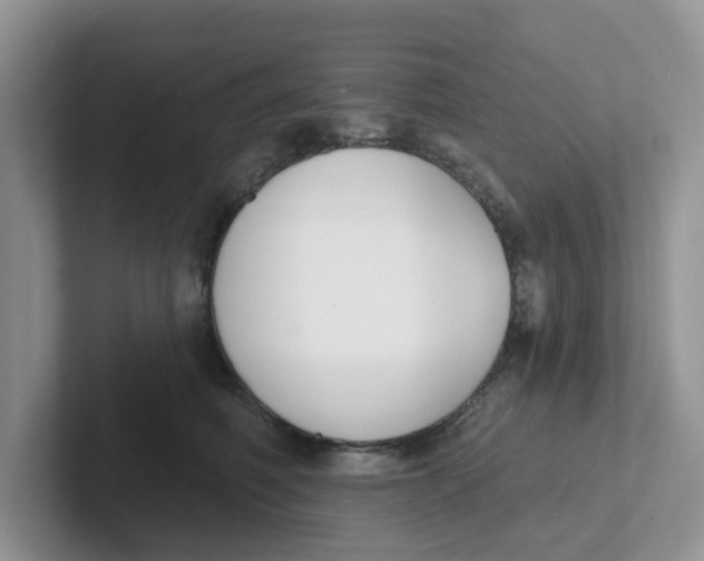 X0000101700614200807311433