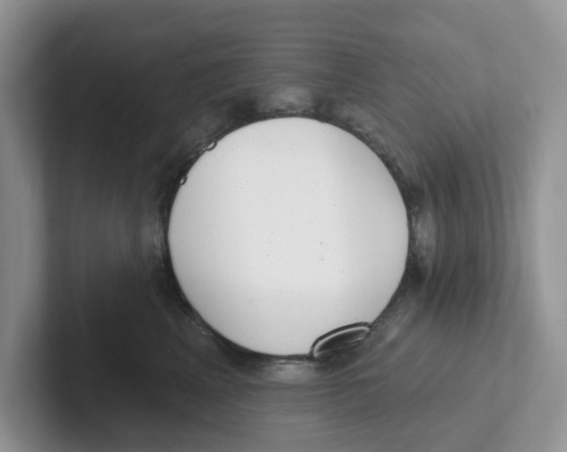 X0000101700617200807311433