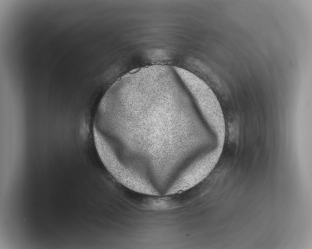 X0000101700618200807311433