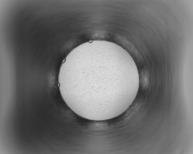 X0000101700619200807311433