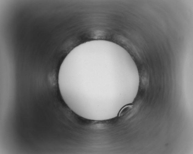 X0000101700620200807311433