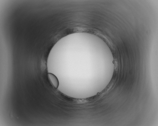 X0000101700621200807311433