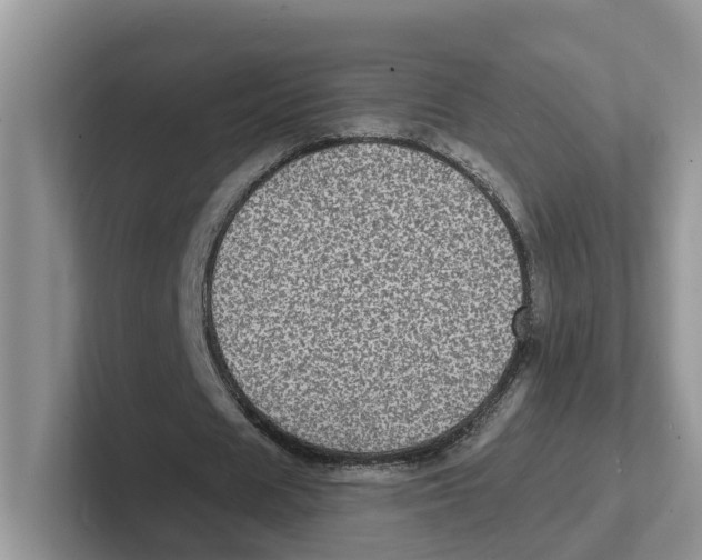 X0000101700625200807311432