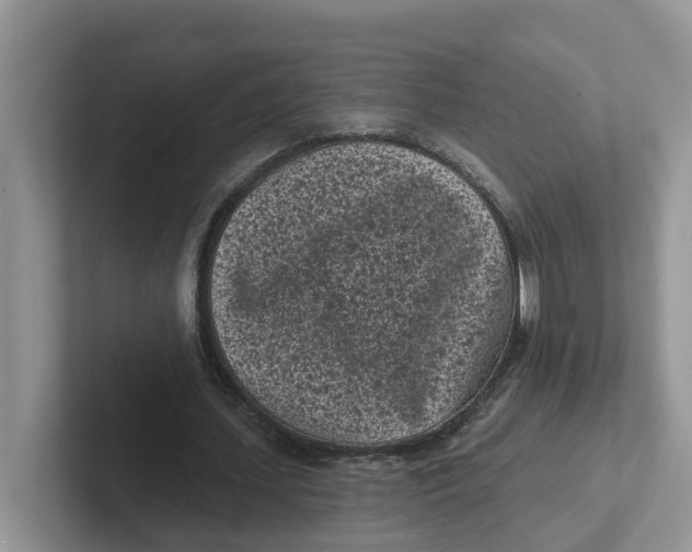 X0000101700627200807311432