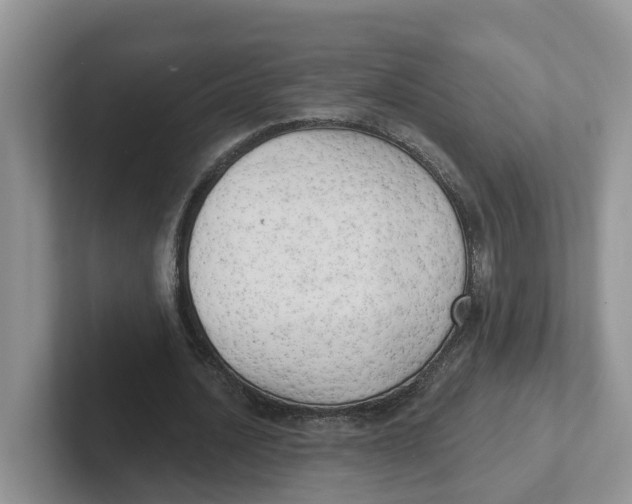 X0000101700628200807311432