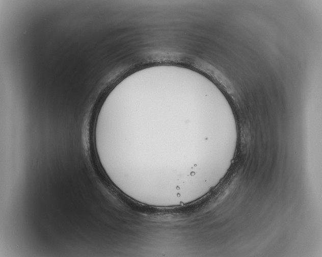 X0000101700629200807311432