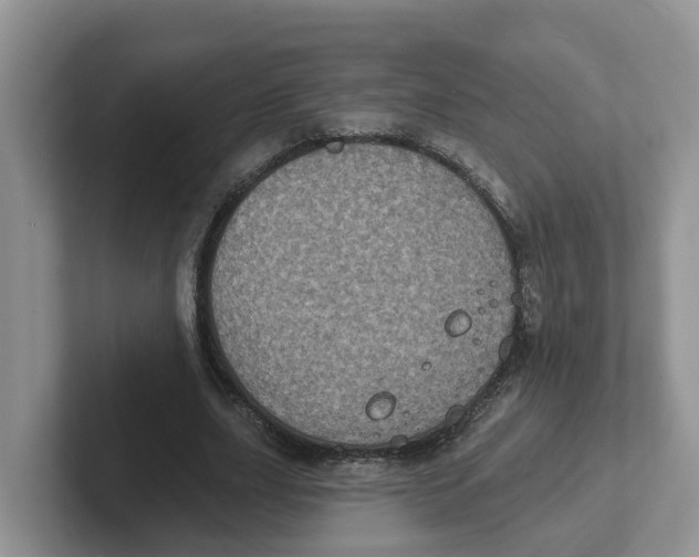 X0000101700631200807311432