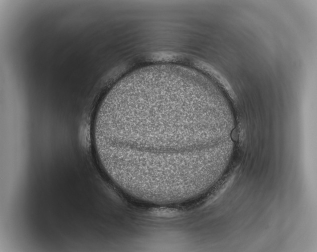 X0000101700633200807311432