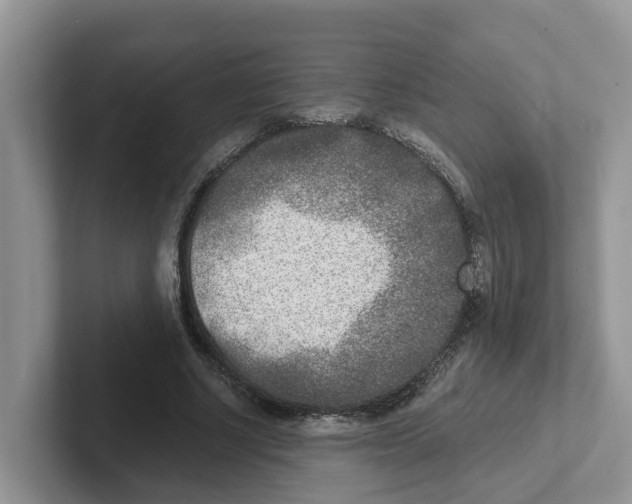 X0000101700634200807311432