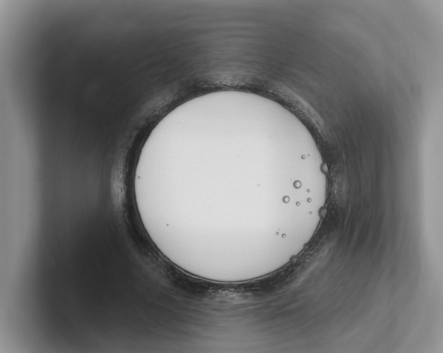 X0000101700635200807311432