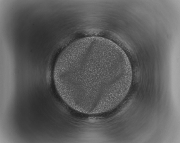 X0000101700641200807311432