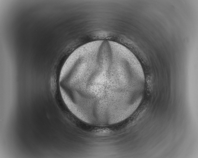 X0000101700642200807311432