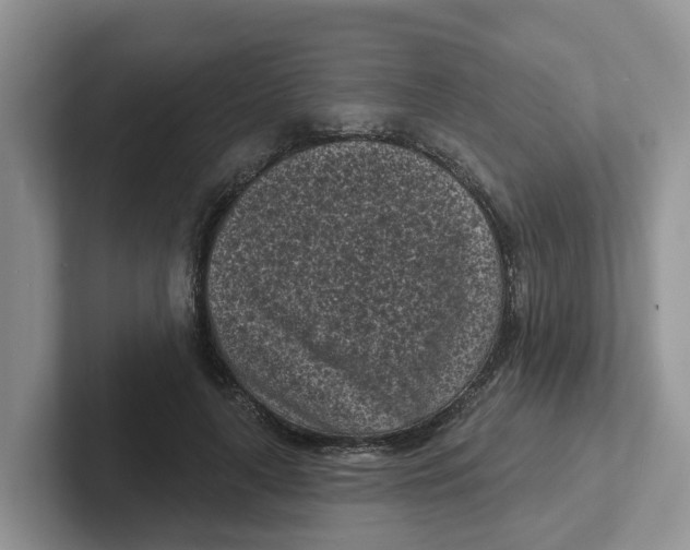 X0000101700643200807311432