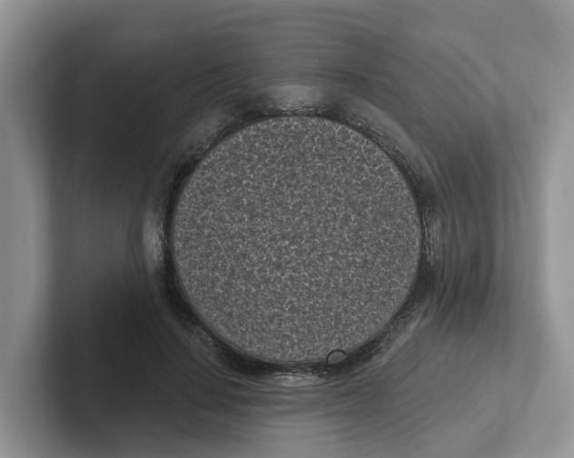 X0000101700644200807311433
