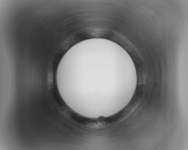 X0000101700646200807311433