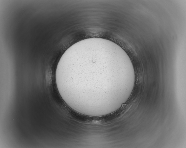 X0000101700647200807311433